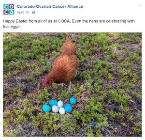 COCA Social Media - hen with real eggs