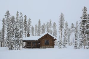 Log Cabin in the forest and covered snow